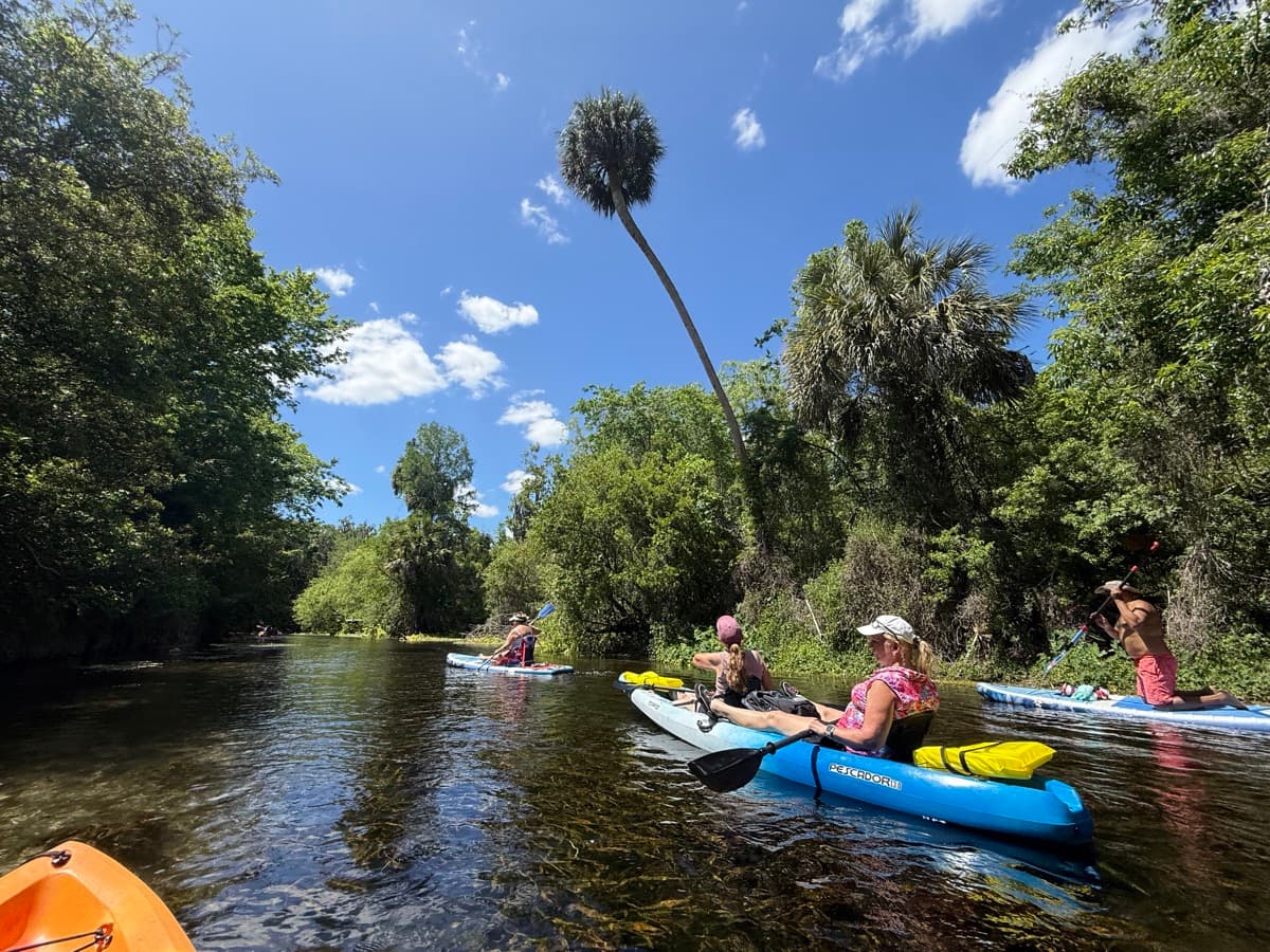 Group Kayak Tour